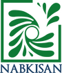 Nabkishan